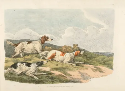 Running Hounds