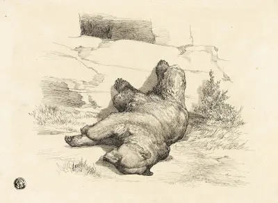 Russian Bear