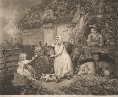 Rustic Felicity