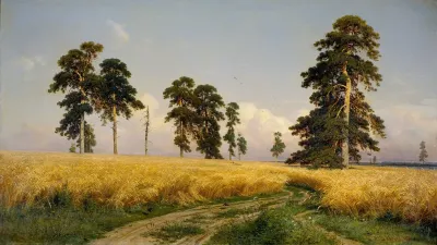 Rye Fields