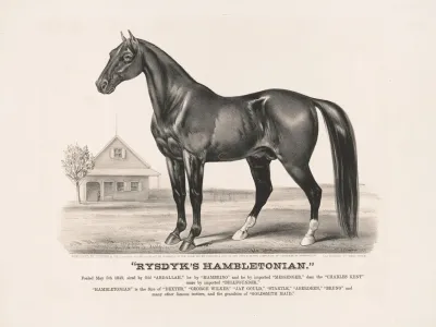 Rysdyks Hambletonian