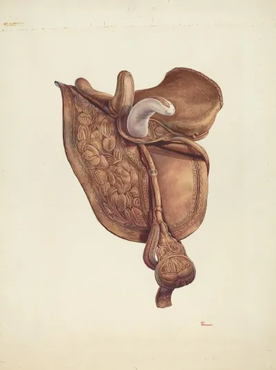Saddle 12