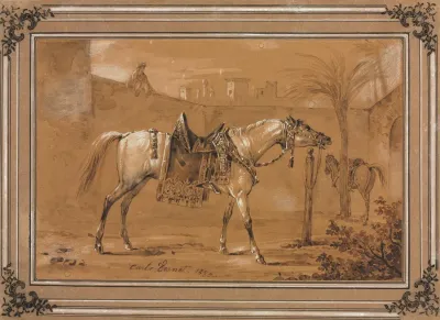 Saddled Arabian Horse In Courtyard