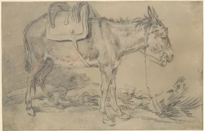 Saddled Donkey