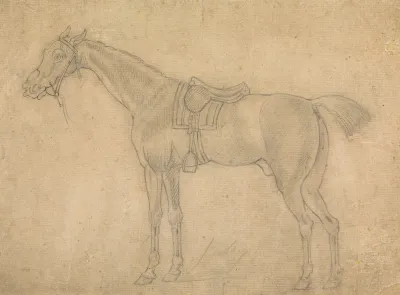 Saddled Horse Facing Left