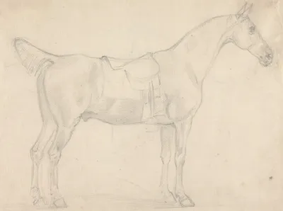 Saddled Horse Facing Right