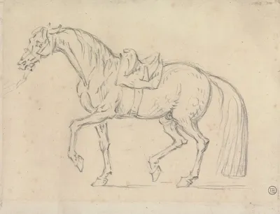 Saddled Horse Walking To Left