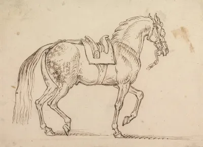 Saddled Horse With A Crest Branded On His Flank Walking To Right
