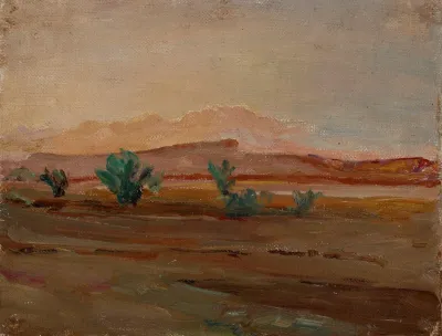 Sahara Desert After A Rain