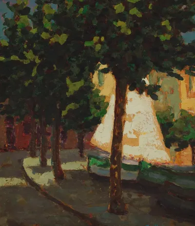 Sail And Platanus Trees