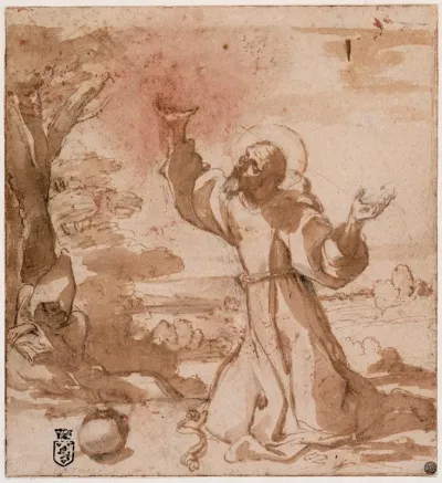 Saint Francis Of Assisi 5
