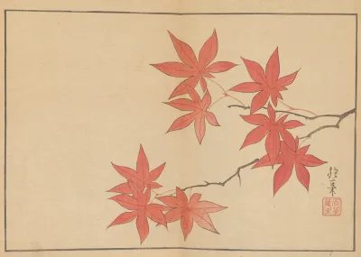 Sakai Hoitsu Gajo Pl 05