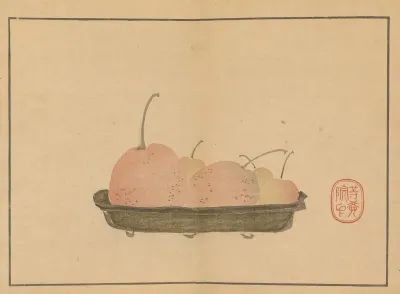 Sakai Hoitsu Gajo Pl 14