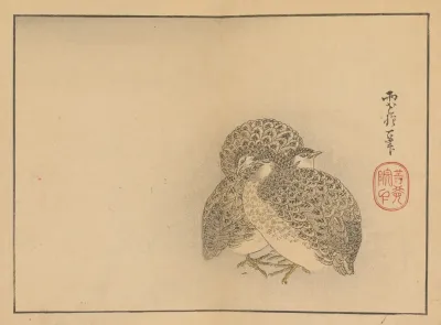 Sakai Hoitsu Gajo Pl 20