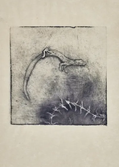 Salamandre