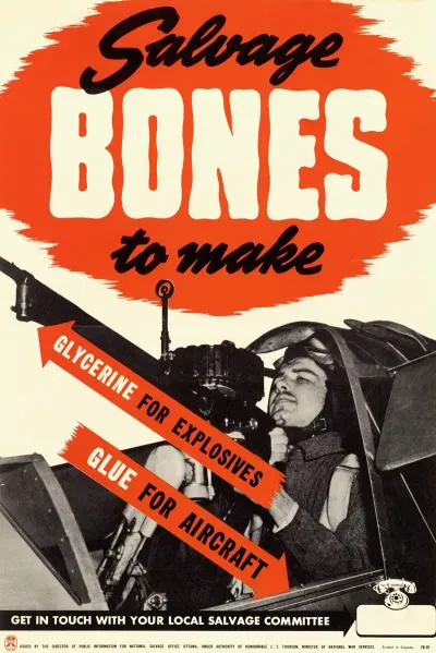 Salvage Bones