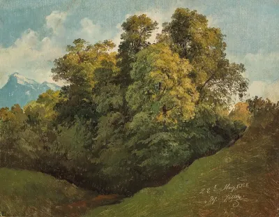 Salzburg Trees Set Against The Untersberg