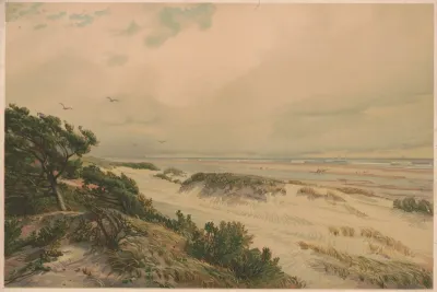 Sand Hills Of New Jersey 2