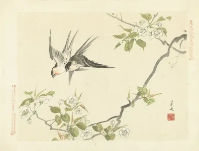 Sand Pear And Barn Swallow