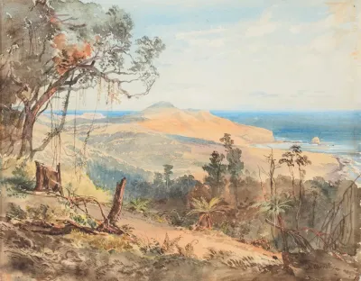 Sandfly Bay And Gull Rock Near Dunedin