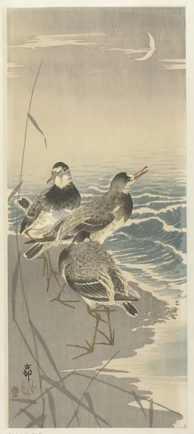 Sandpipers At Sickle Moon