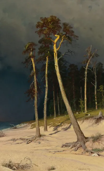 Sandy Coastline