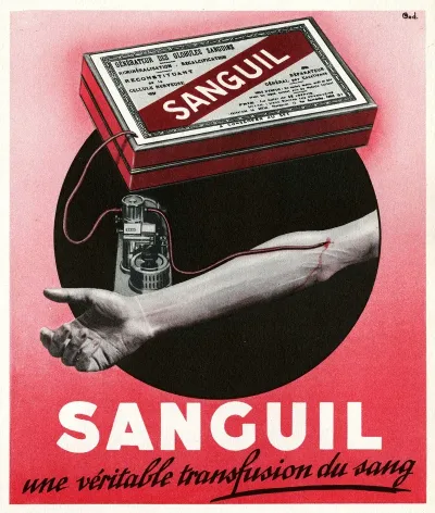 Sanguil 2