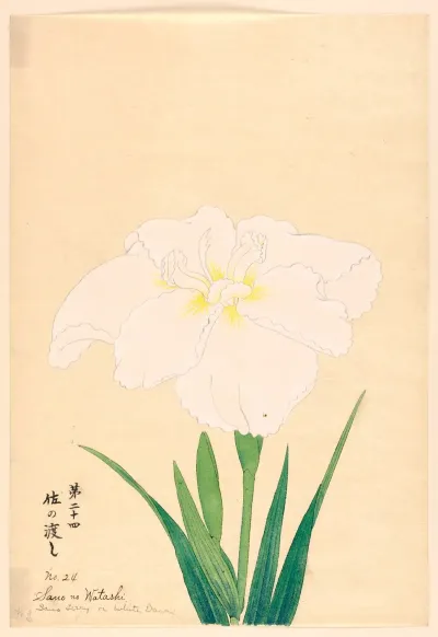 Sano No Watshi Sano Ferry Or White Dawn