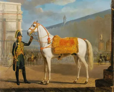 Sara Napoleons Horse