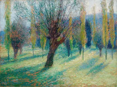Saules Dans La Vallee Du Vert