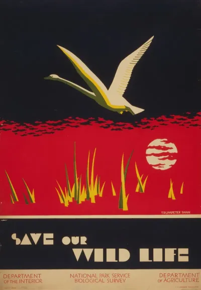 Save Our Wild Life