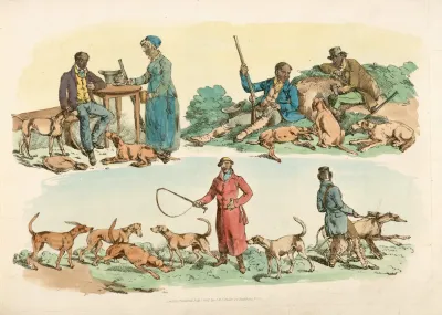 Scene Of The Hunters Life
