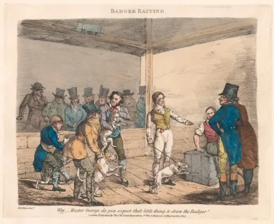 Scenes In The Life Of Master George Badger Hunting