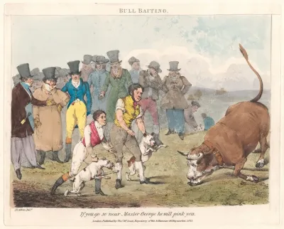 Scenes In The Life Of Master George Bull Baiting