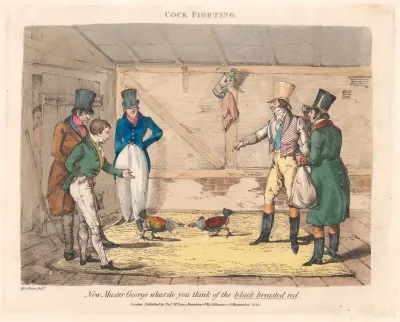 Scenes In The Life Of Master George Cock Fighting