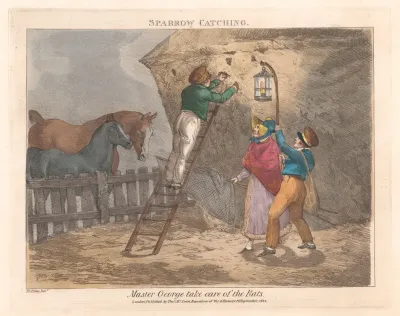 Scenes In The Life Of Master George Sparrow Catching
