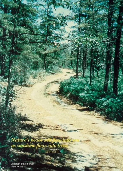 Scenically Yours Natures Peace Will Flow Into You As Sunshine Flows Into Trees Lebanon State Forest New Jersey