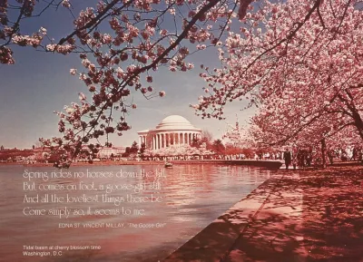 Scenically Yours Tidal Basin At Cherry Blossom Time Washington Dc