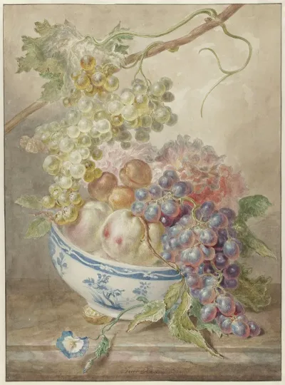 Schaal Met Fruit