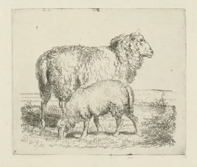 Schaap Met Lam