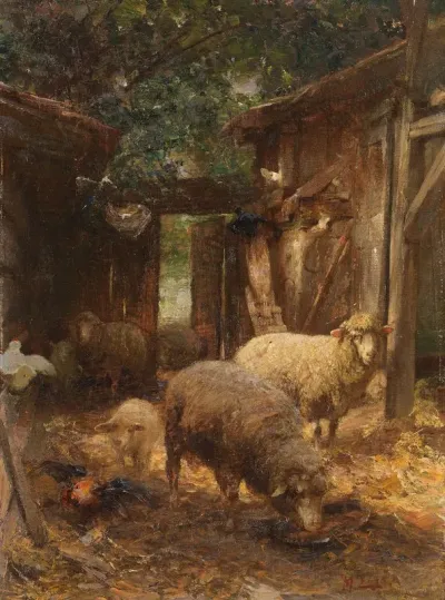 Schafe Und Lammer Beim Huhnerstall