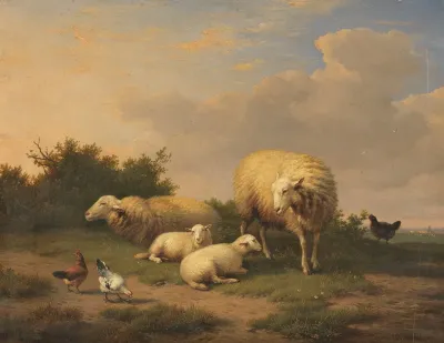 Schafe Und Lammer