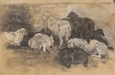 Schafgruppe