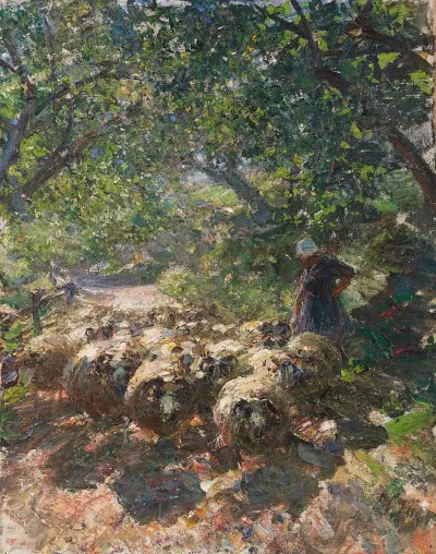 Schafherde Mit Hirtin Im Schattigen Hohlweg