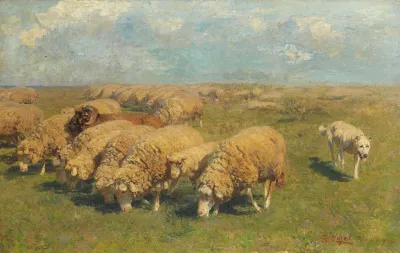 Schafherde Mit Hutehund Auf Der Weide