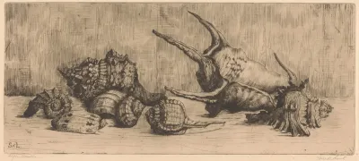 Schelpen 2
