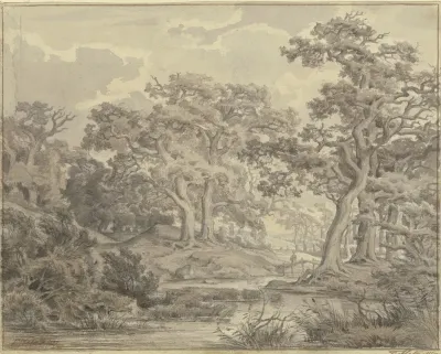 Schilfweiher Zwischen Eichen