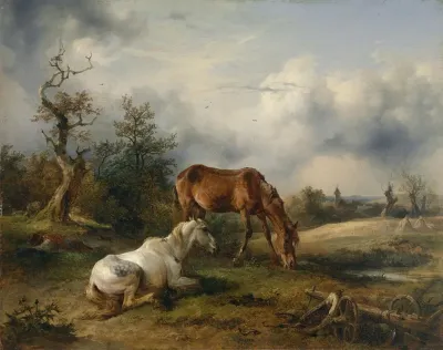 Schimmel Und Fuchs Auf Der Weide 2
