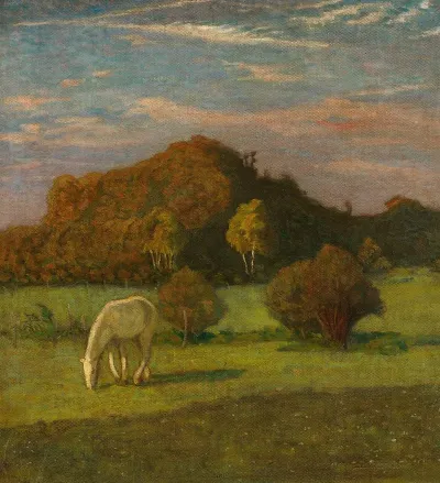 Schimmel Vor Baumen Auf Der Weide