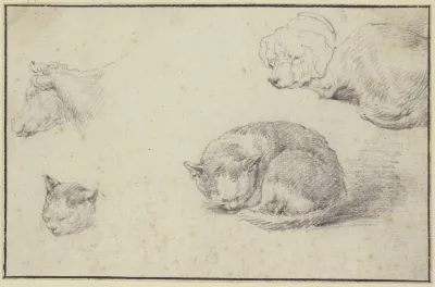 Schlafende Katze Und Hund Ein Kuhkopf Und Ein Katzenkopf